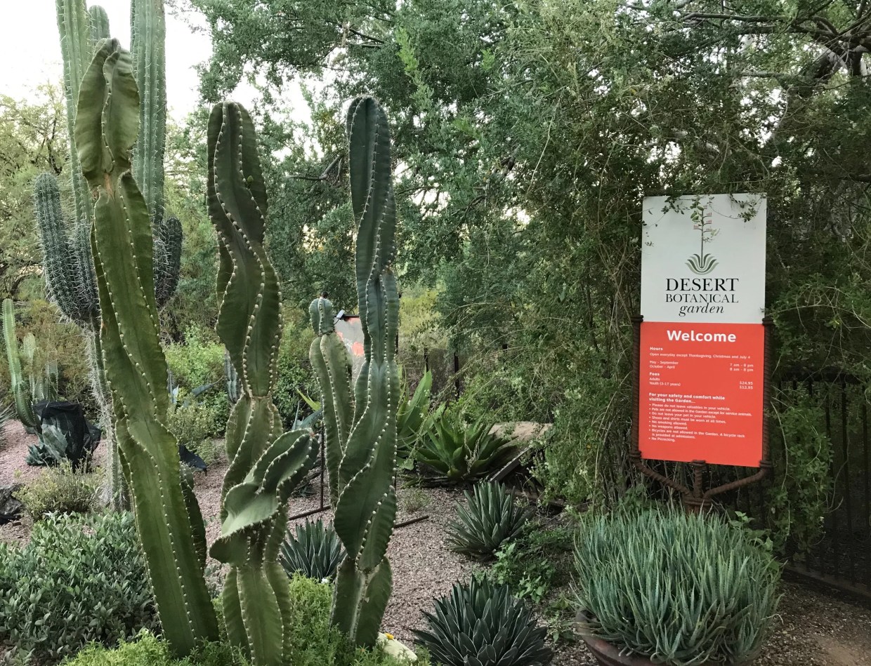 This Philadelphia Art Collective Is Coming to Phoenix’s Desert Botanical Garden