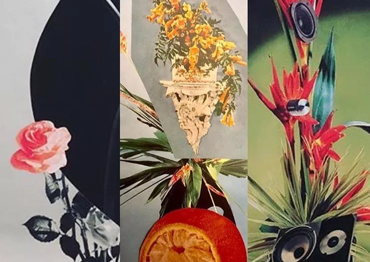 Free Things to Do This Week