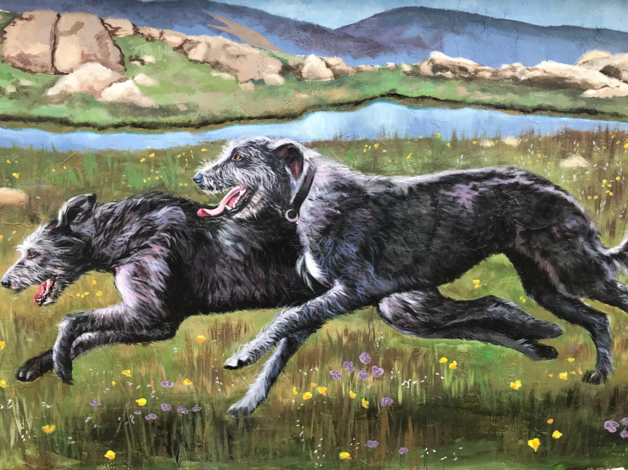 Should Murals Be Regulated in Historic Phoenix Neighborhoods Like Willo?