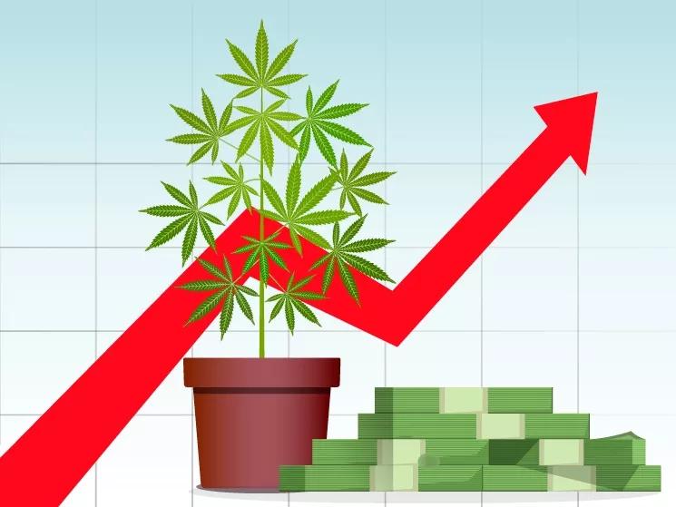 Charting Pot’s Future: BDS Analytics Provides Data-Driven Look at the Cannabiz
