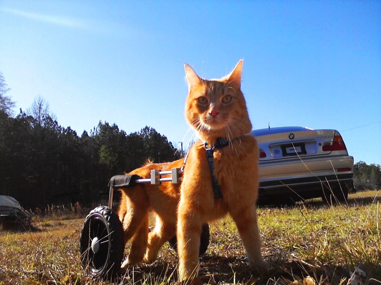 10 Nerdy Things to Do This November in Metro Phoenix