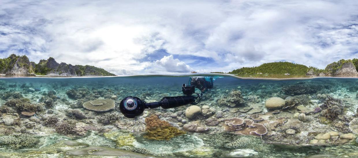 Is a Movie Enough? <i>Chasing Coral</i>’s Jeff Orlowski on Trying to Film Our Dying Planet