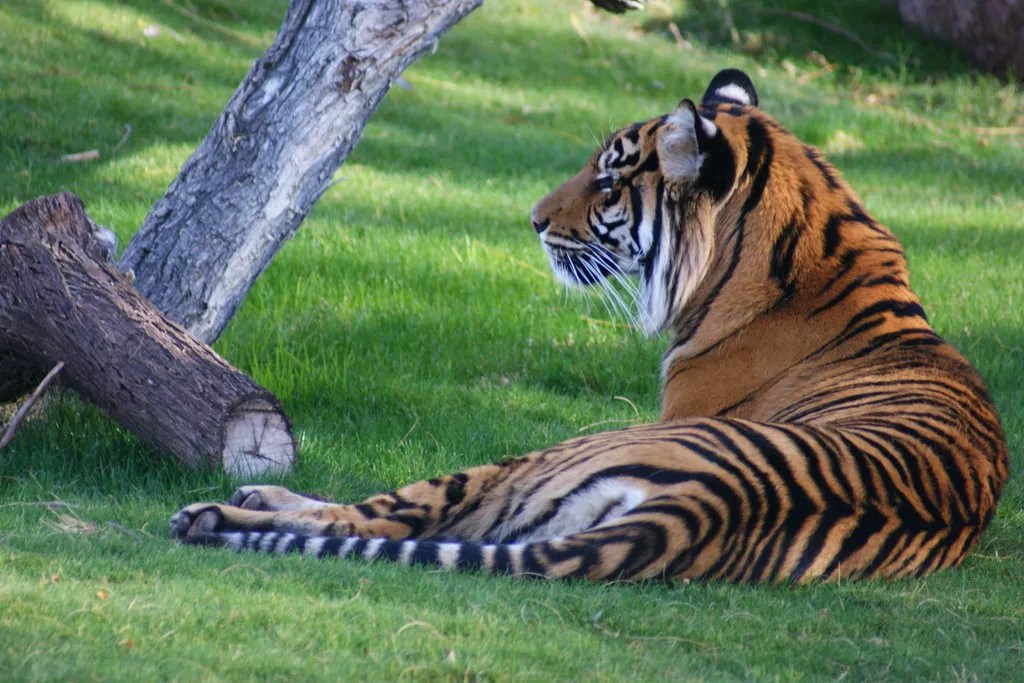 9 Earth Day Activities in the Phoenix Area This Month to Save the Planet