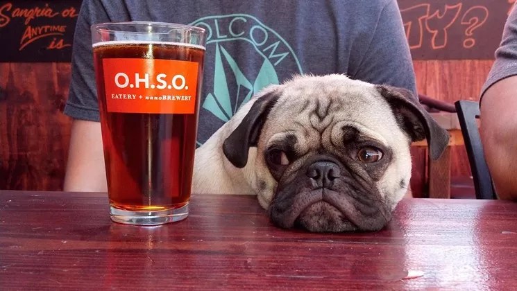 Best friends welcome: 6 Valley restaurants named among most dog-friendly in U.S.