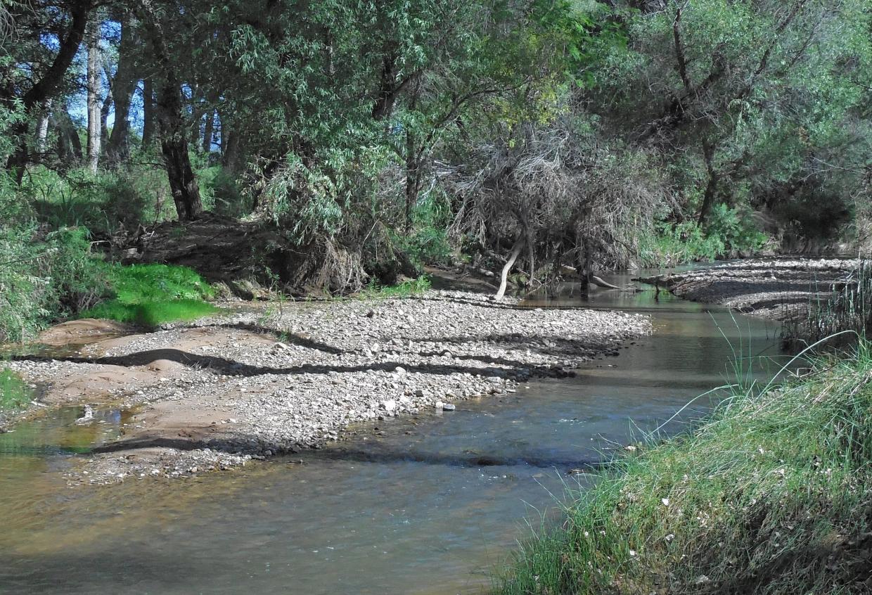 Proposed Arizona-Mexico Wall Threatens Southwest’s Last Free-Flowing River