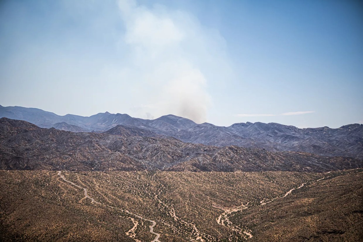 Activists Want Phoenix, a Hotspot for Climate Change, to Declare Climate Emergency
