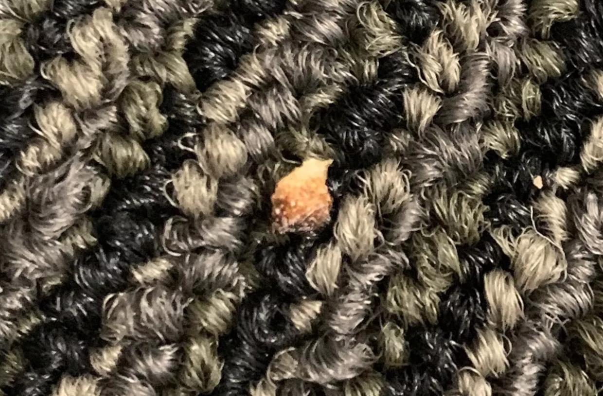 ‘They’re Just Being Spread’: Bedbug Situation Worsens at DES Office