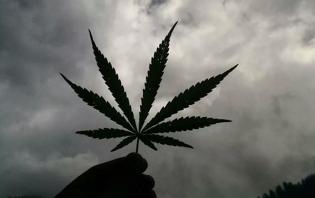 How to Get an Arizona Medical Marijuana Card in Four Easy Steps: 2019 Edition