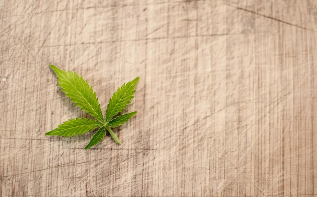 <i>Phoenix New Times</i> Seeks Cannabis Freelance Writers
