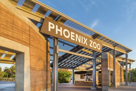 Phoenix Zoo evacuated due to bomb threat