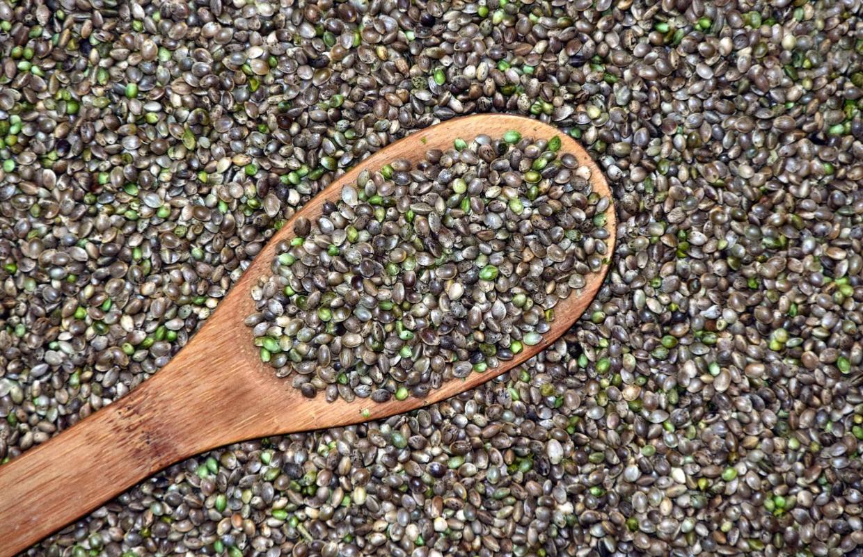 A Proposed Law Would Let Arizonans Grow Pot, but Where Will Seeds Come From?