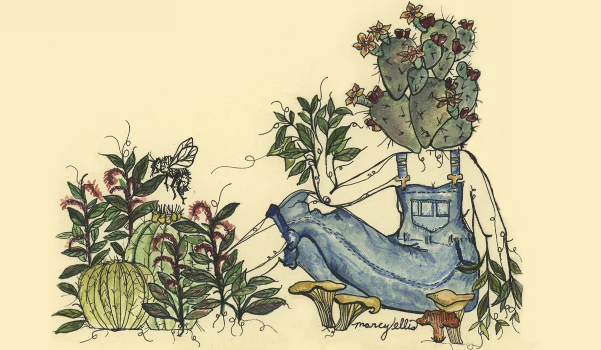 A Look at the Ancient and Modern Foods of Arizona