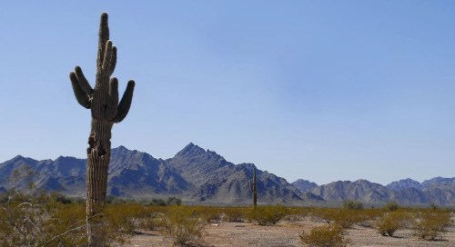 How far $1M goes in these Arizona retirement towns