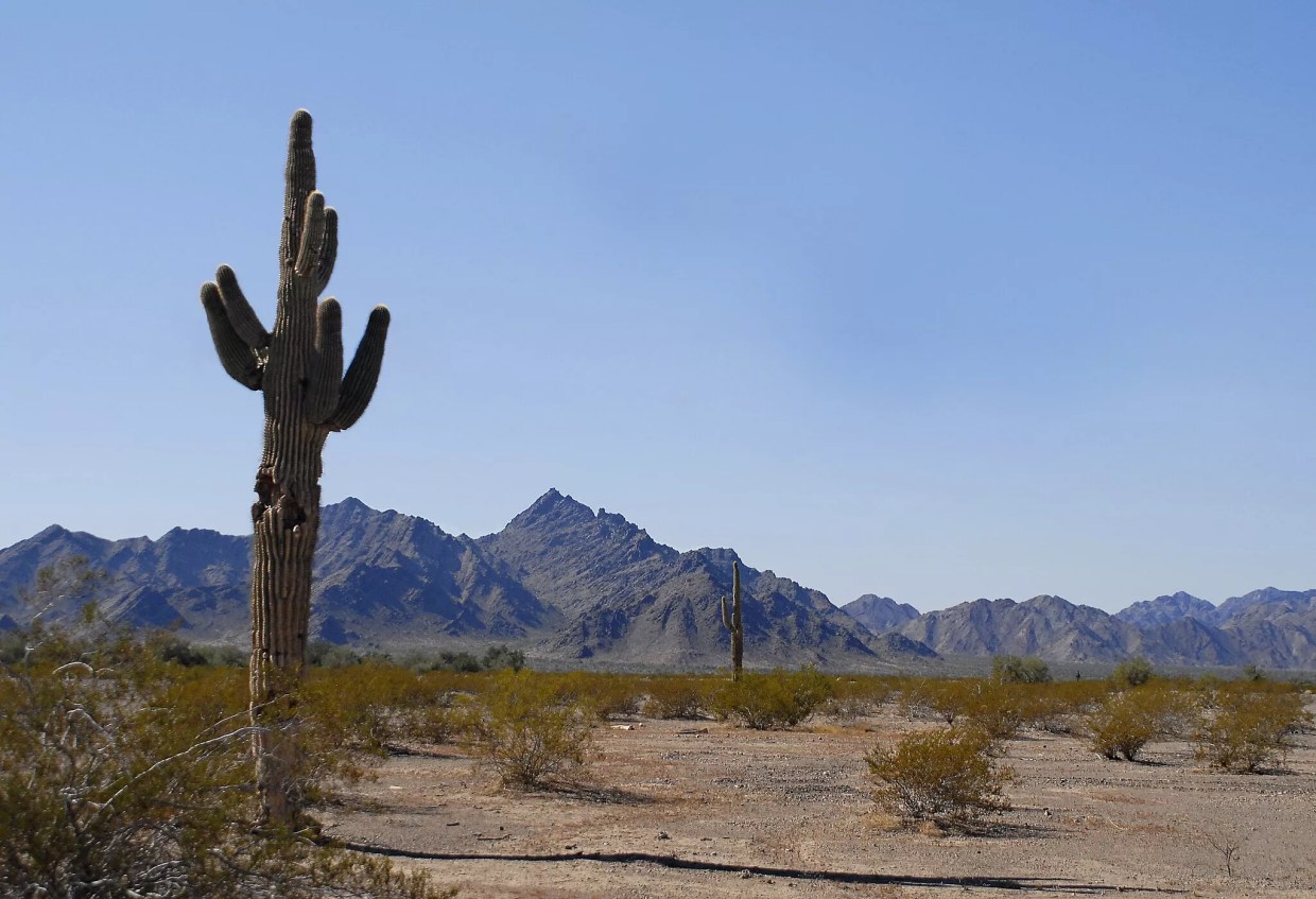 A Korean Company Wants to Build a Solar Plant on Public Lands in Arizona