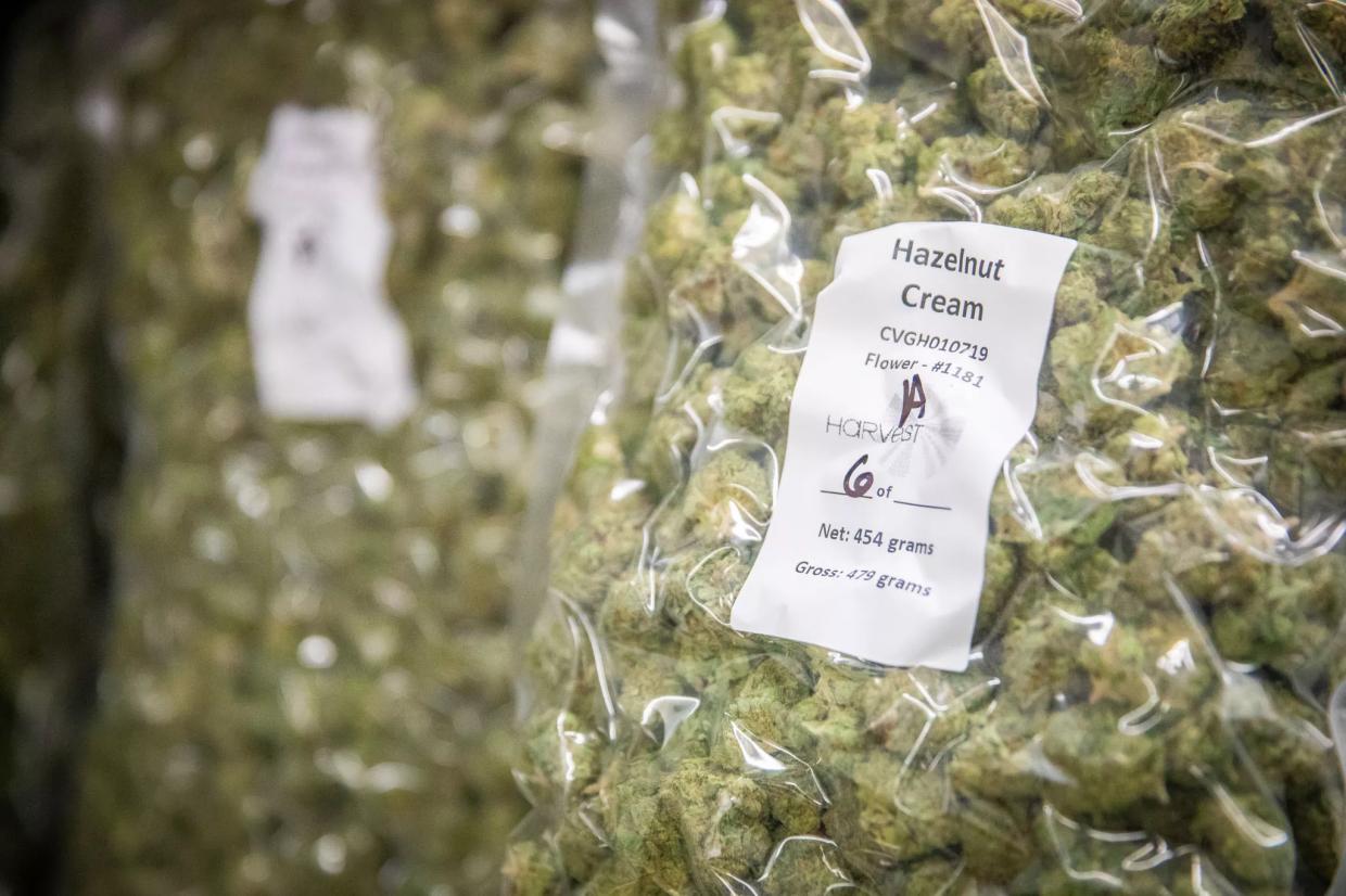 A Dispensary’s Ex-Staffers Claim It Ignored Concerns, Violated Laws in Arizona