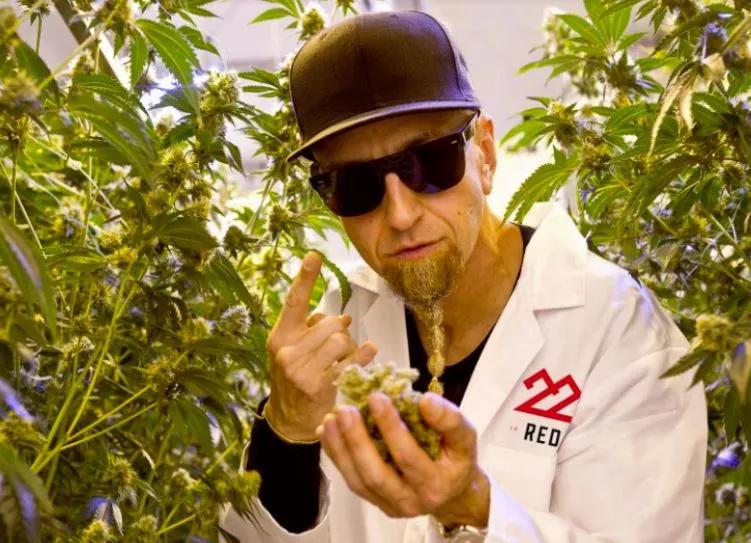 System of a Down Bassist’s Cannabis Brand Launches in Arizona