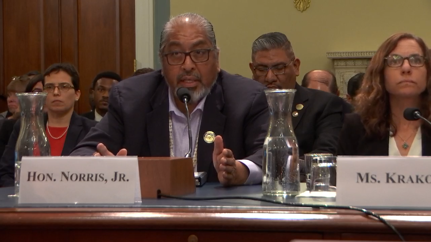 Tohono O’odham Chairman to Congress: Trump’s Wall Is Destroying Tribal Sites