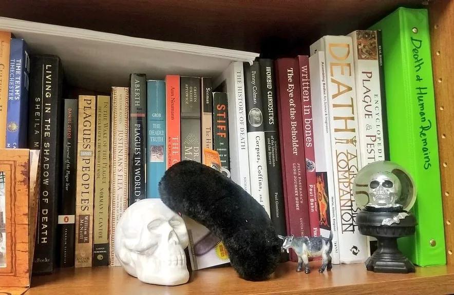 Plague Journal: How You Can Help Document the COVID-19 Pandemic