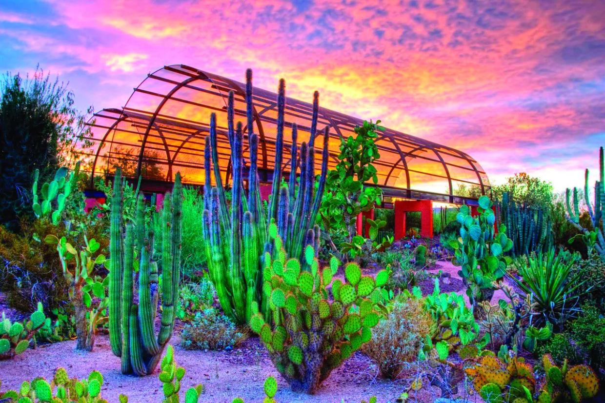 Socially Distanced Summer Fun in Metro Phoenix: A Short Guide