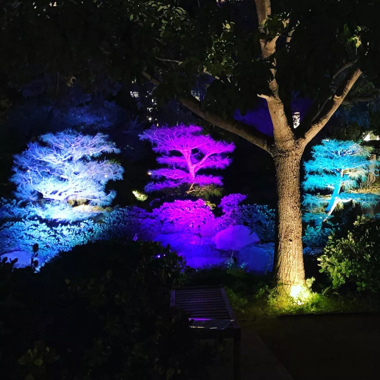 The Best Live and Virtual Things to Do in Phoenix This Week