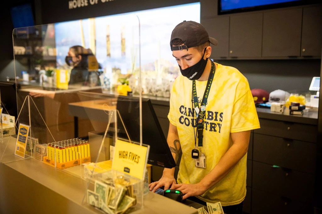 a budtender at a dispensary