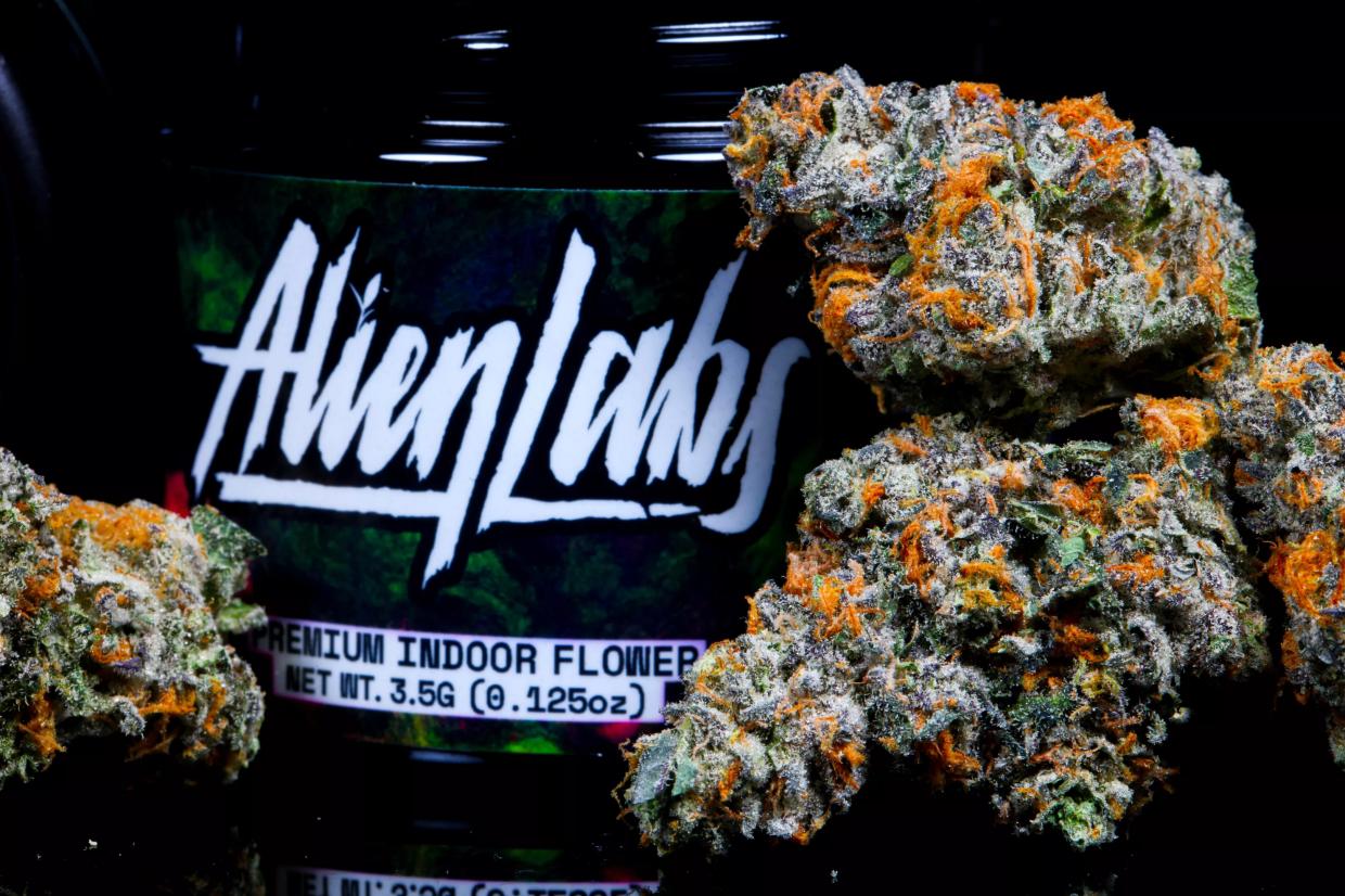 Now Growing in Arizona: Connected Cannabis