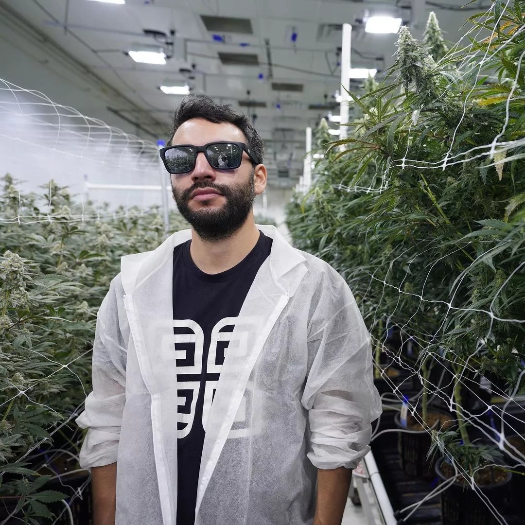 In West Phoenix, a Pot Grower’s Paradise Is Now Blooming