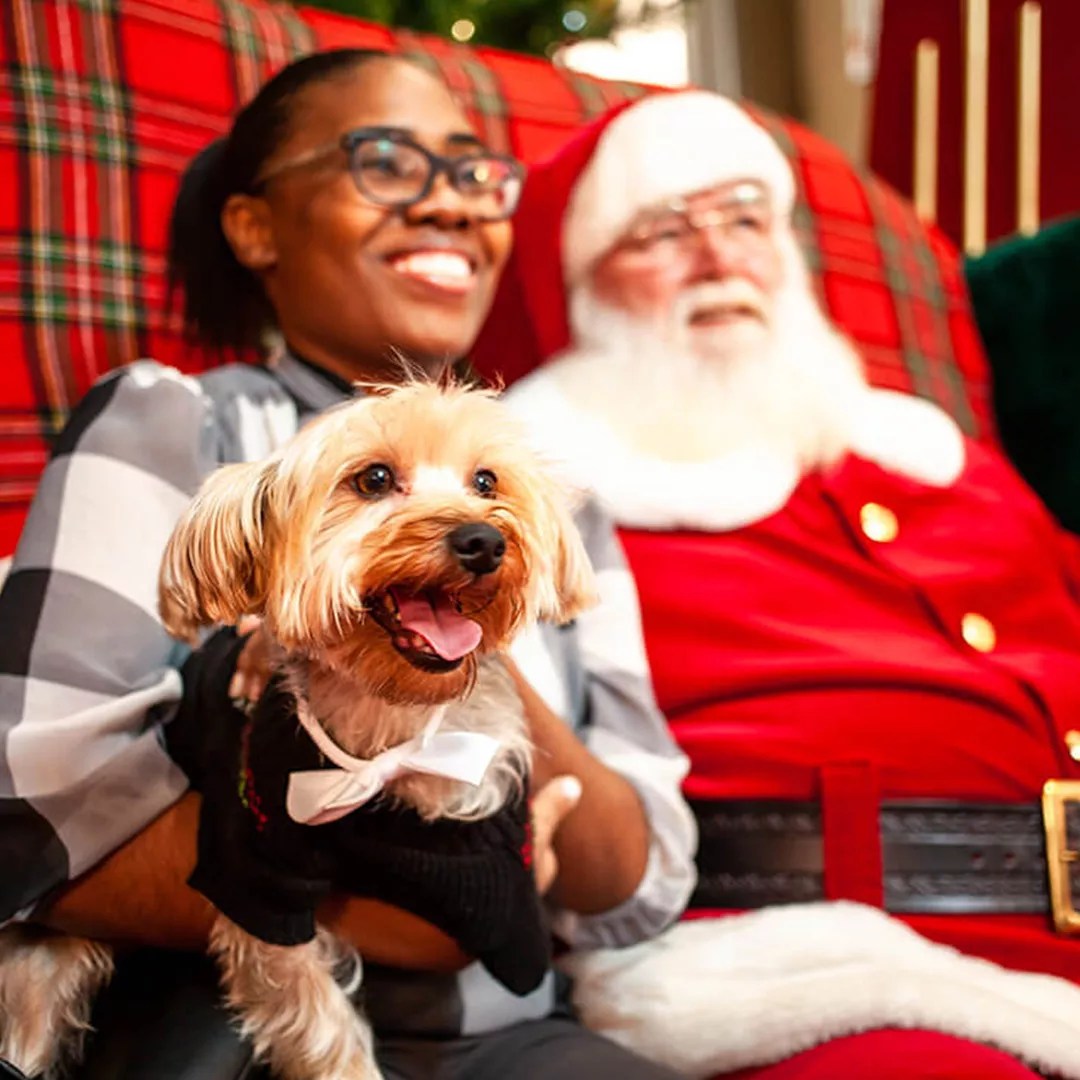 The Best Things to Do in Metro Phoenix This Week