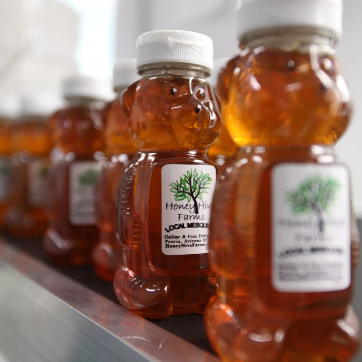 What’s the Buzz? Taste Honey and Learn About Bees with Peoria’s Honey Hive Farms