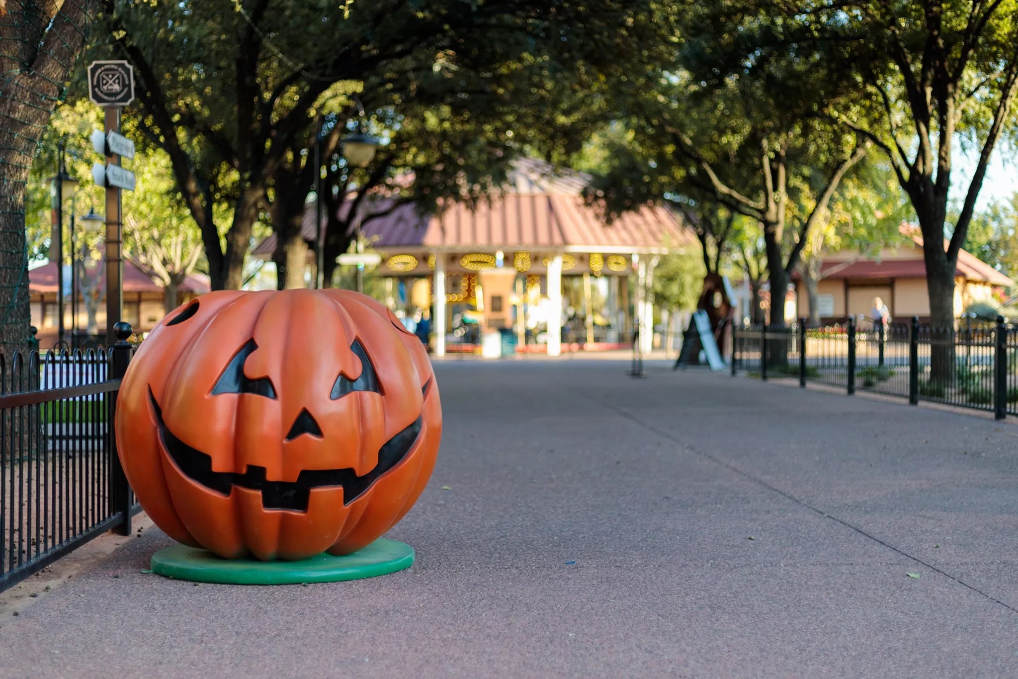 a pumpkin