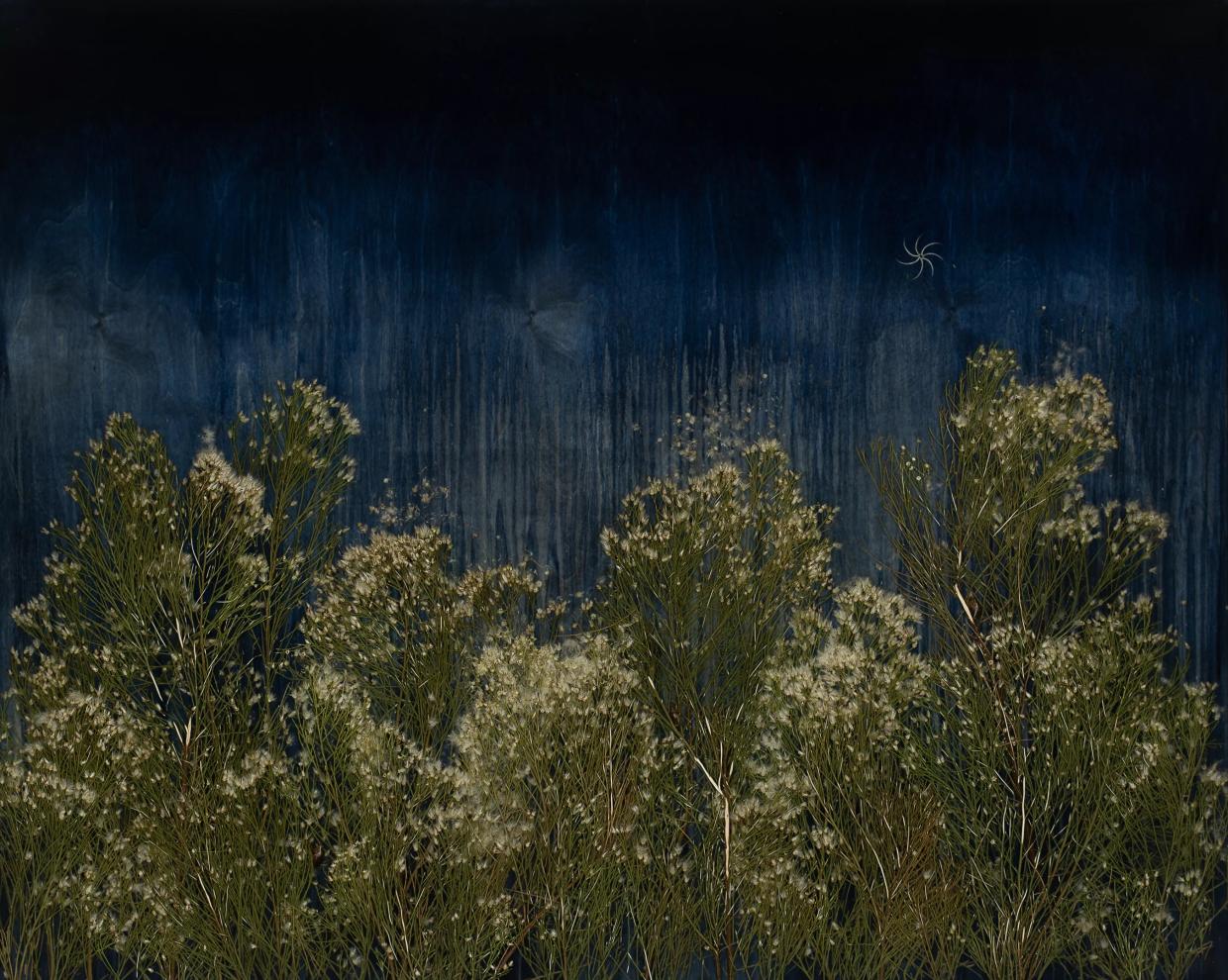 Mayme Kratz’s ‘Dark Garden’ Art Exhibit at Lisa Sette Gallery Explores the Mysteries of the Desert