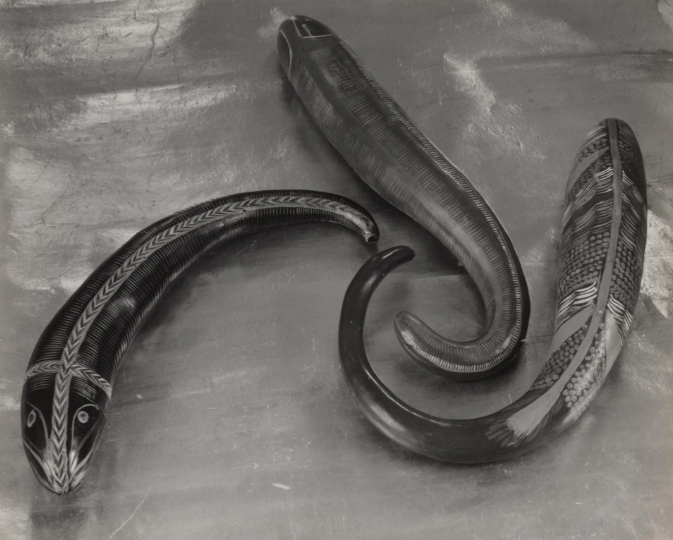 Arty Girl: Edward Weston at Phoenix Art Museum