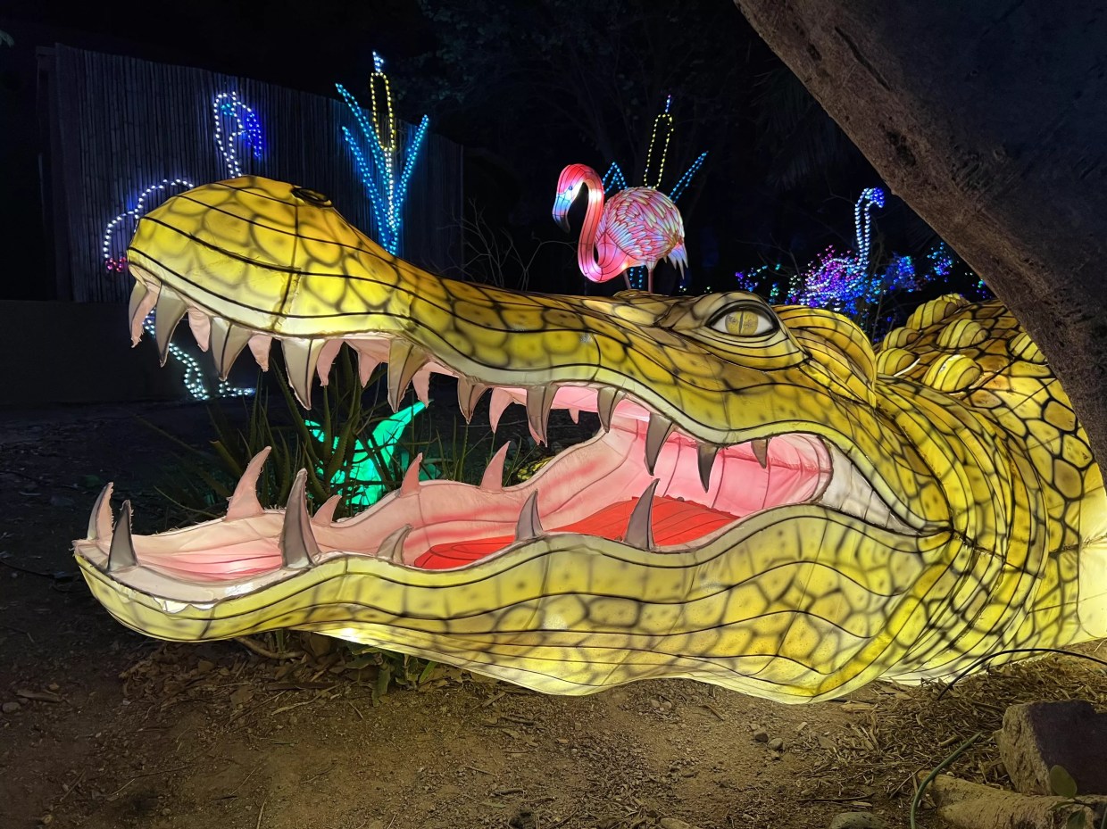 Look back at Phoenix Zoo’s ZooLights during its last weekend