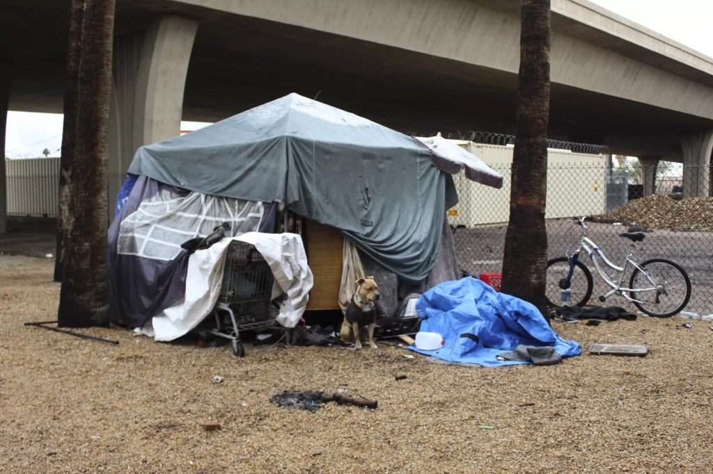 A dog sits in front of a makeshift tent shelter.