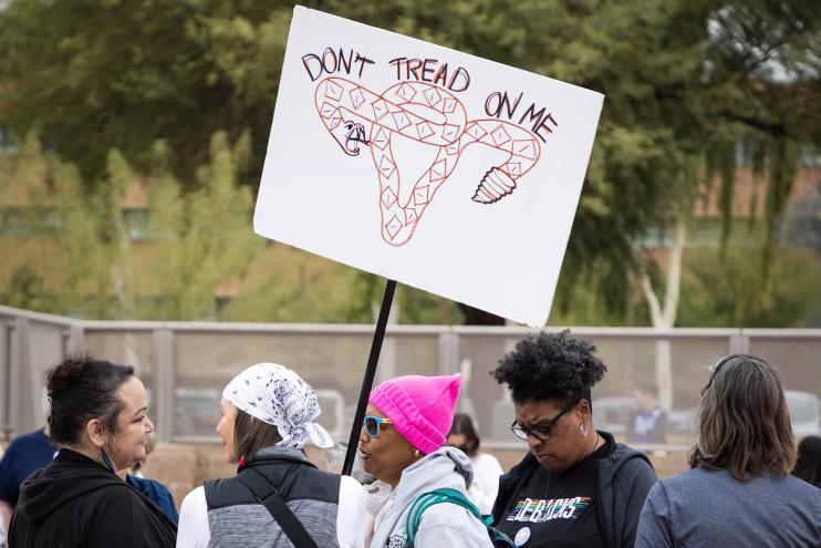 a "don't tread on me" sign in which a snake makes the shape of a uterus