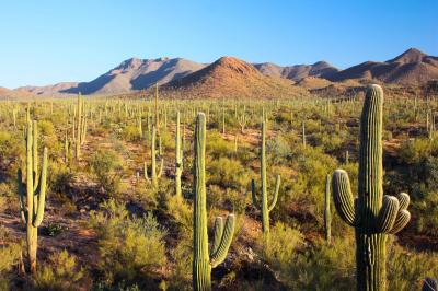 16 Arizona spots to see on Free National Park Day