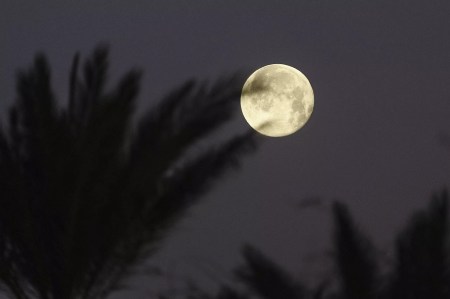 November supermoon: When to see in AZ on Wednesday