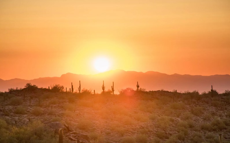 The desert at sunset.