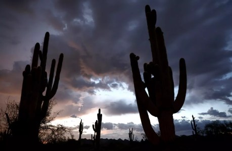 The 10 wettest Novembers in Phoenix history
