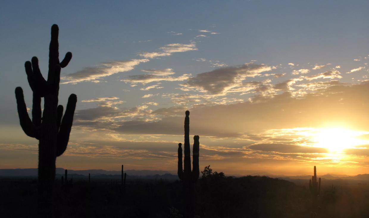 Sunrise in the desert.