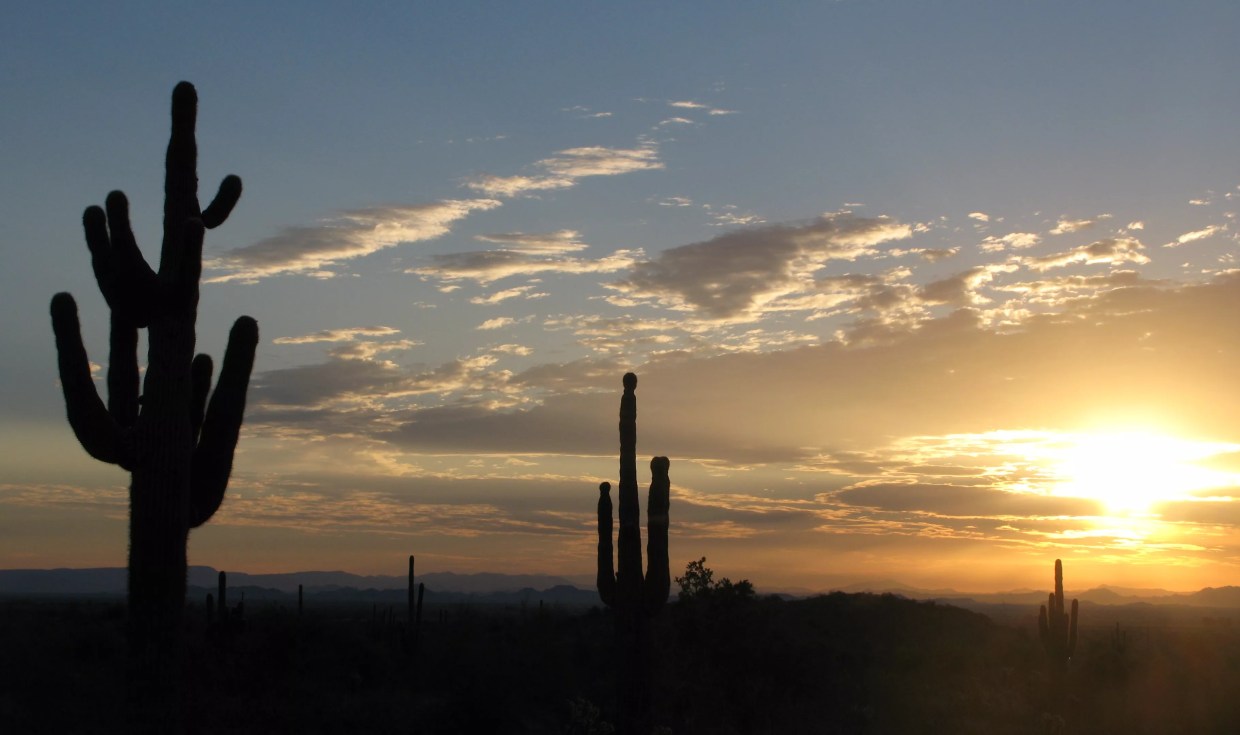 Sunrise in the desert.
