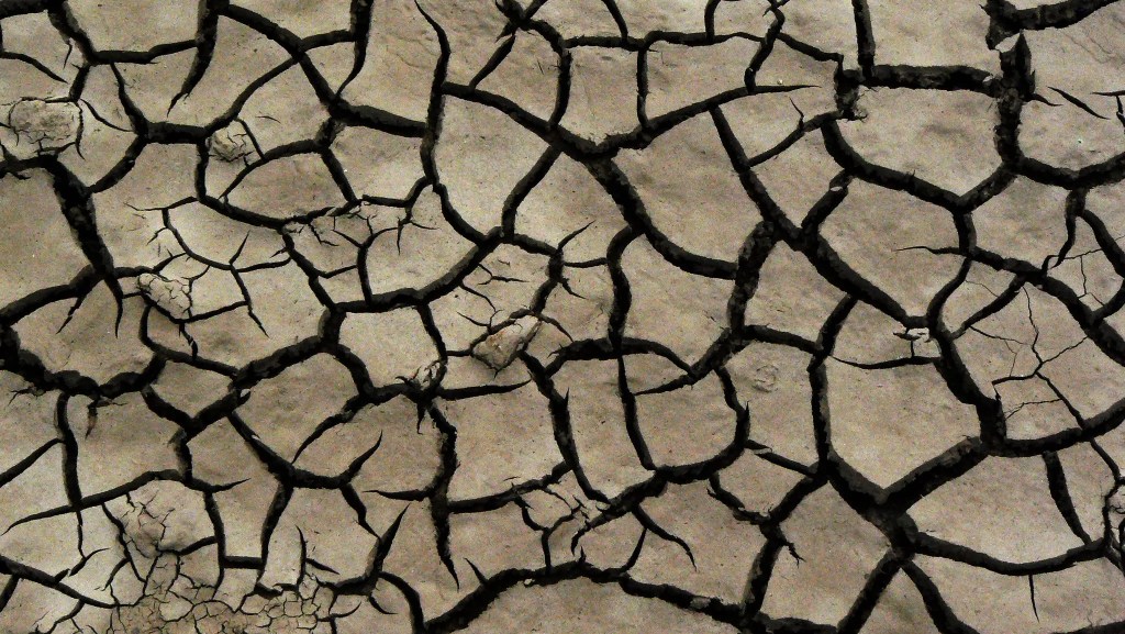 parched land