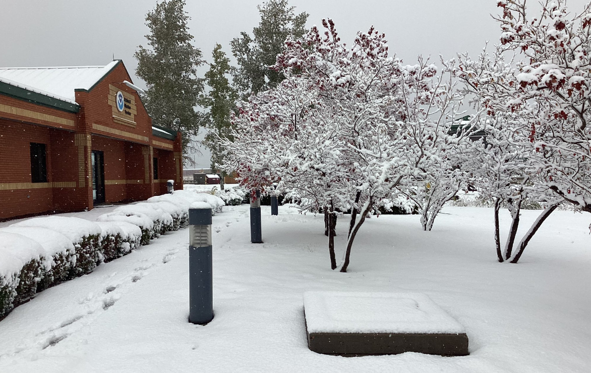 a snowy scene