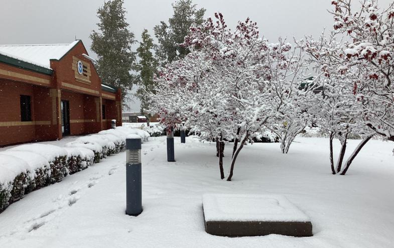a snowy scene