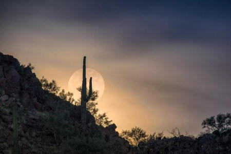 First supermoon of the year: When to see in Arizona on Monday