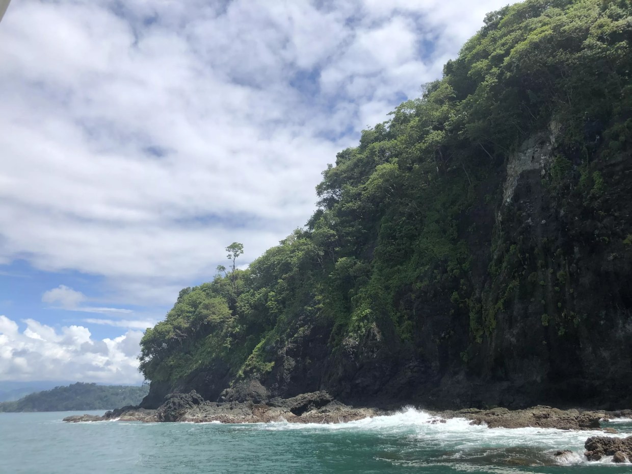 A tropical island.