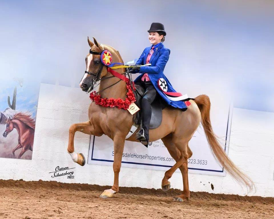 A woman on a horse.