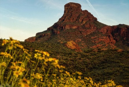 10 best wildflower hikes around Phoenix