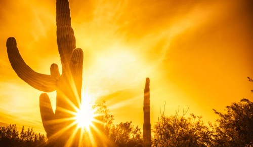 Phoenix hits earliest 100-degree day on record