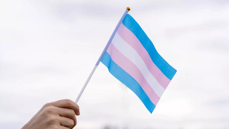 a hand waves a small flag with trans advocacy colors (pink, white, powder plue)